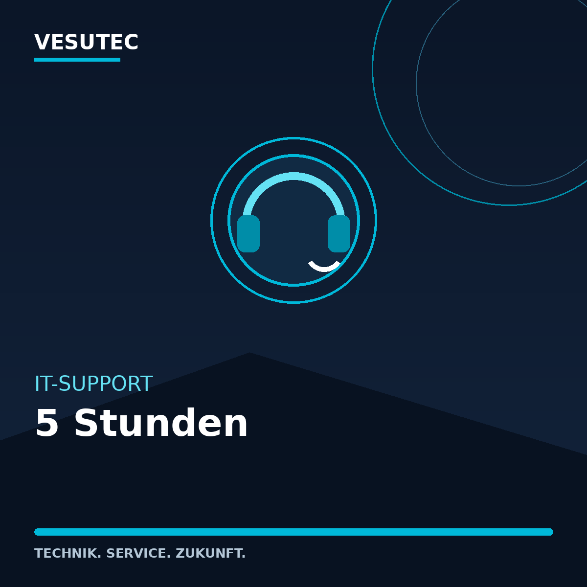 IT-Support 5 Stunden – VESUTEC Dienstleistung