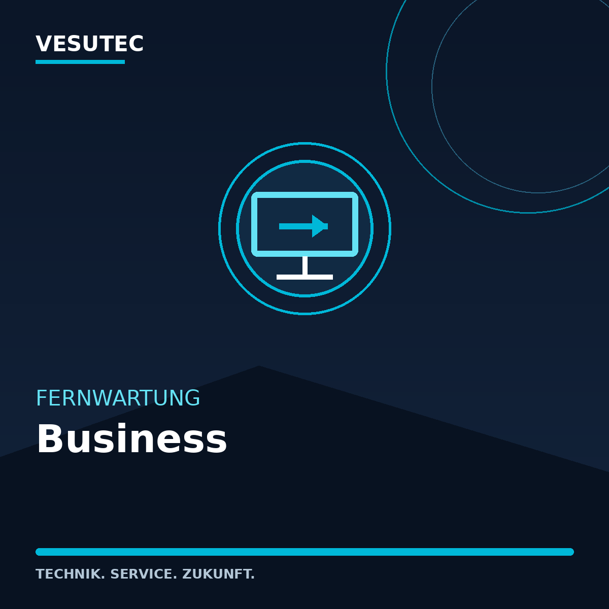 Fernwartung Business – VESUTEC Dienstleistung