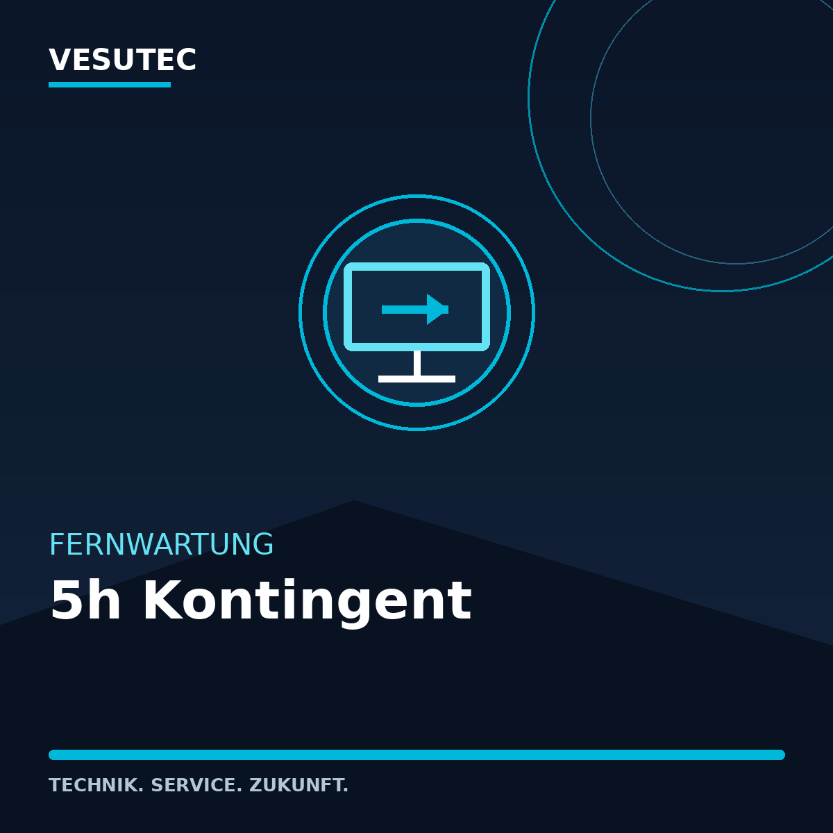 Fernwartung Support Kontingent – VESUTEC Dienstleistung