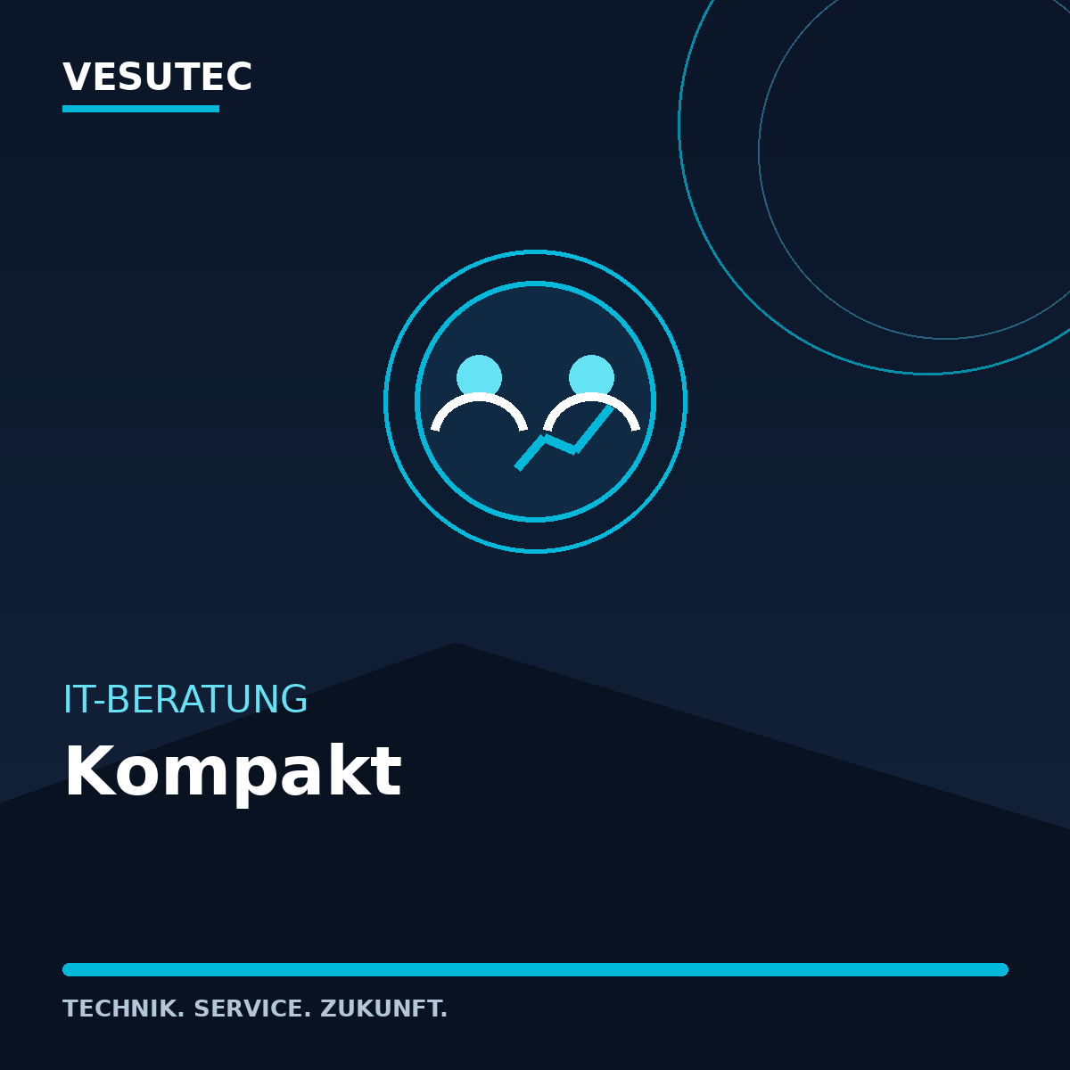 IT-Beratung Kompakt – VESUTEC Dienstleistung
