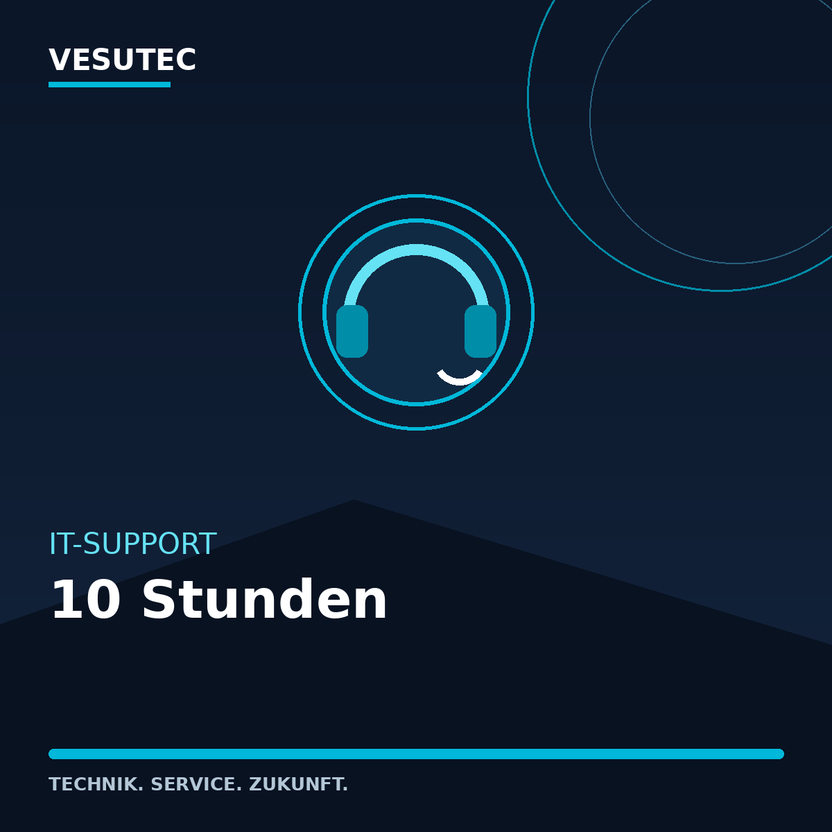 IT-Support 10 Stunden – VESUTEC Dienstleistung