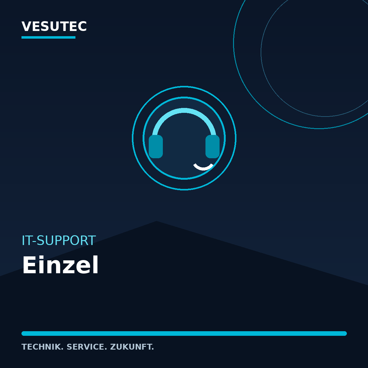 IT-Support Einzel – VESUTEC Dienstleistung
