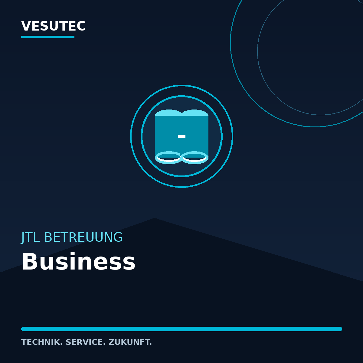 JTL Betreuung Business – VESUTEC Dienstleistung
