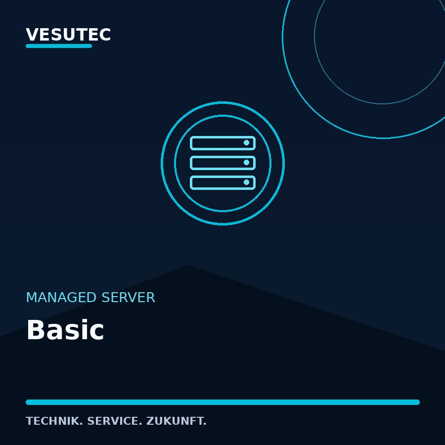 Managed Server Basic – VESUTEC Managed Server