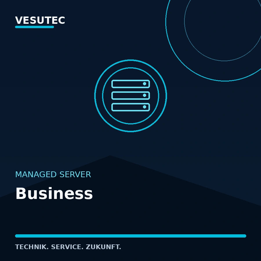 Managed Server Business – VESUTEC Managed Server