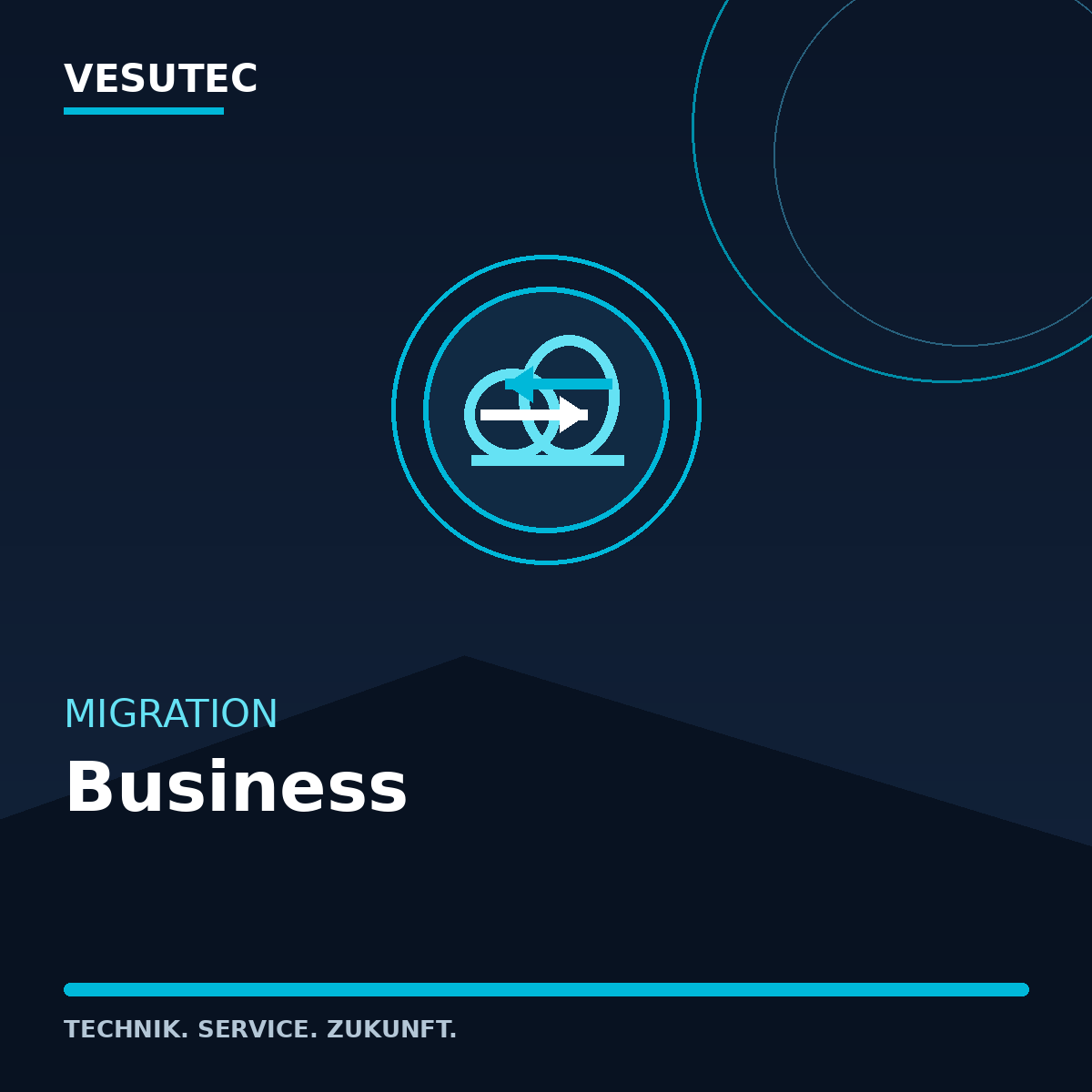 Migration Business – VESUTEC Dienstleistung