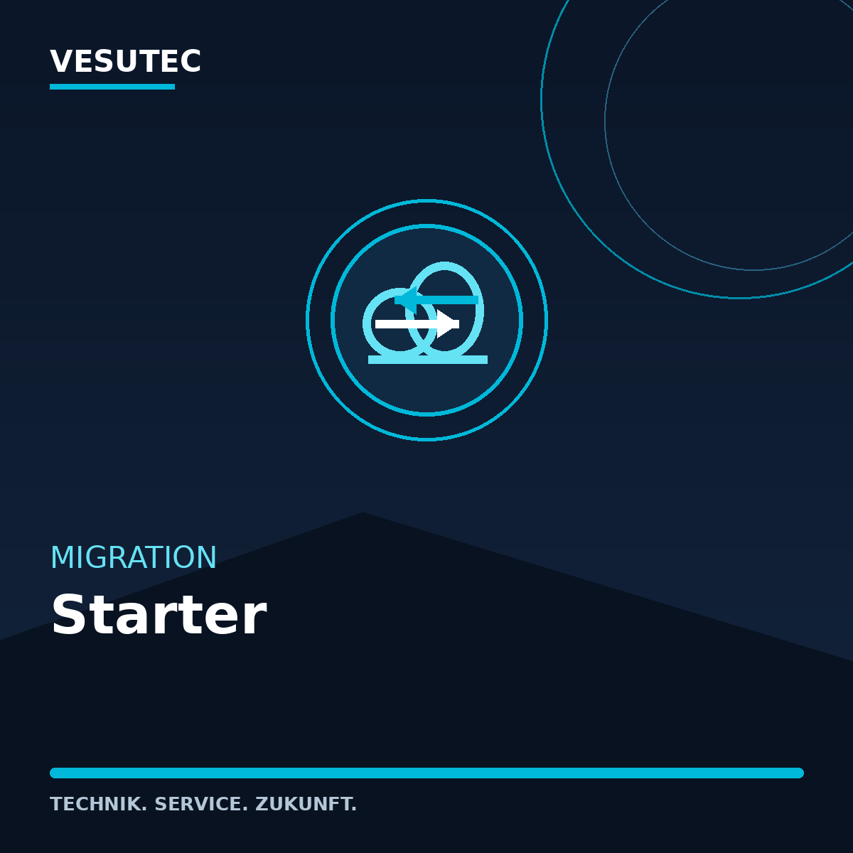 Migration Starter – VESUTEC Dienstleistung
