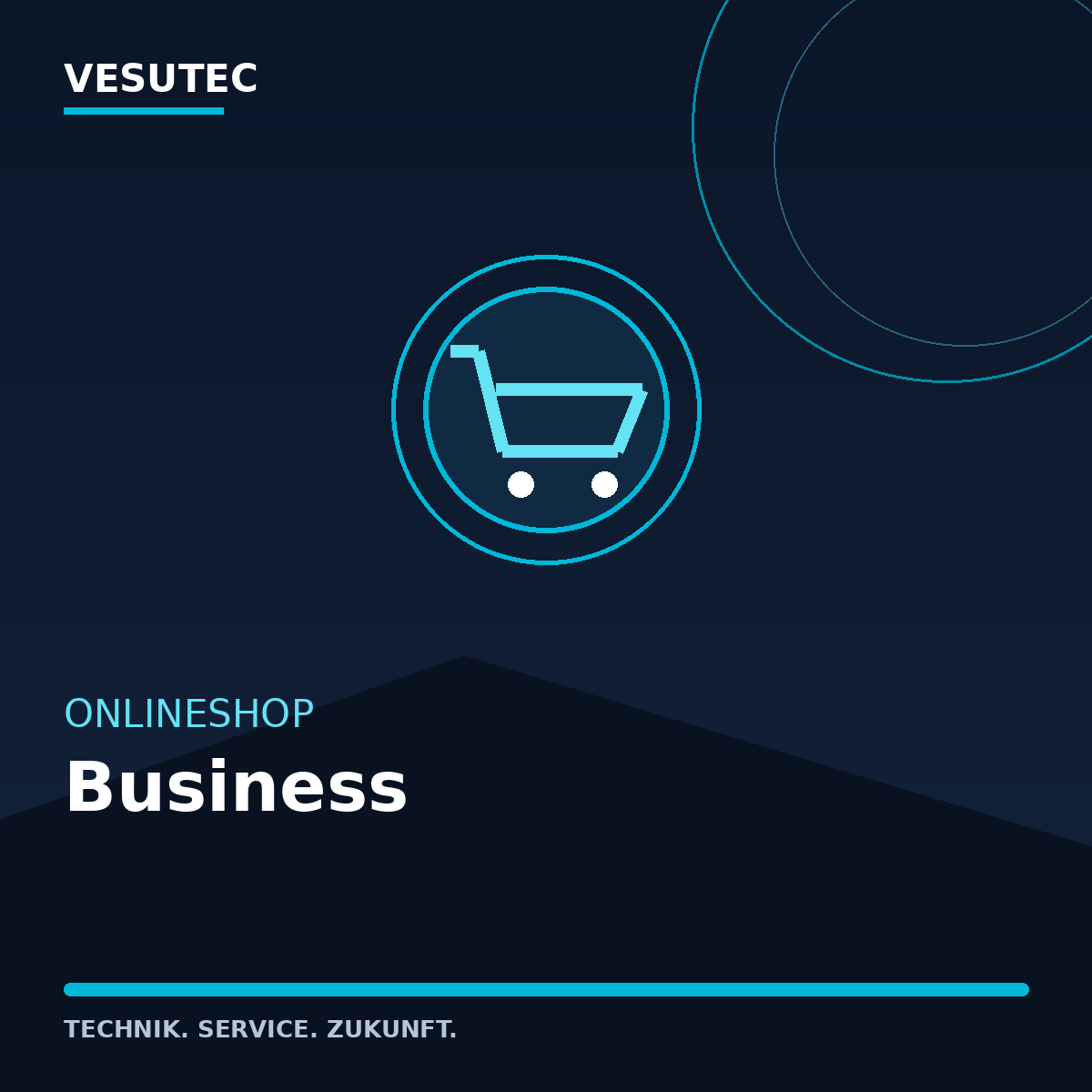 Onlineshop Business – VESUTEC Dienstleistung

