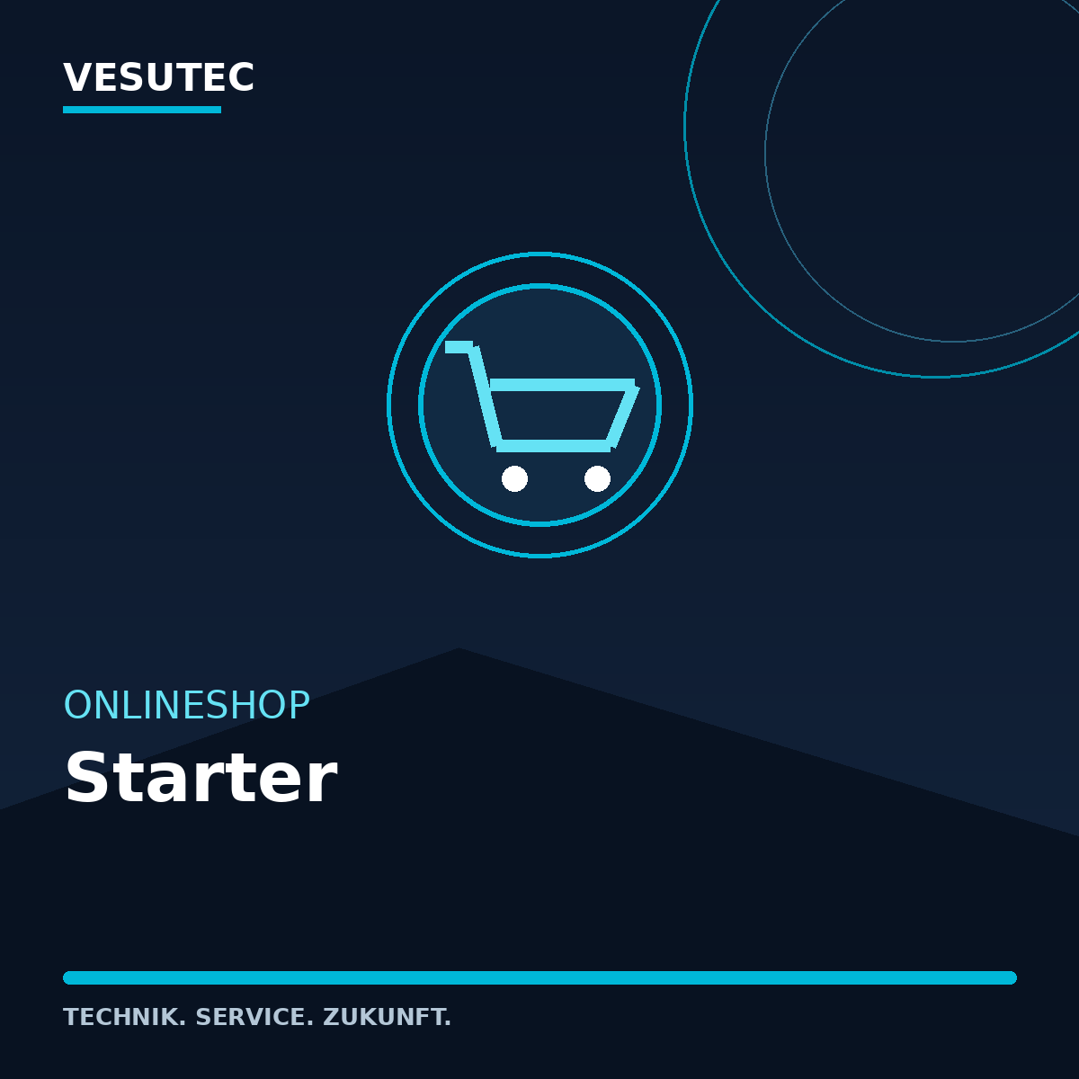 Onlineshop Starter – VESUTEC Dienstleistun