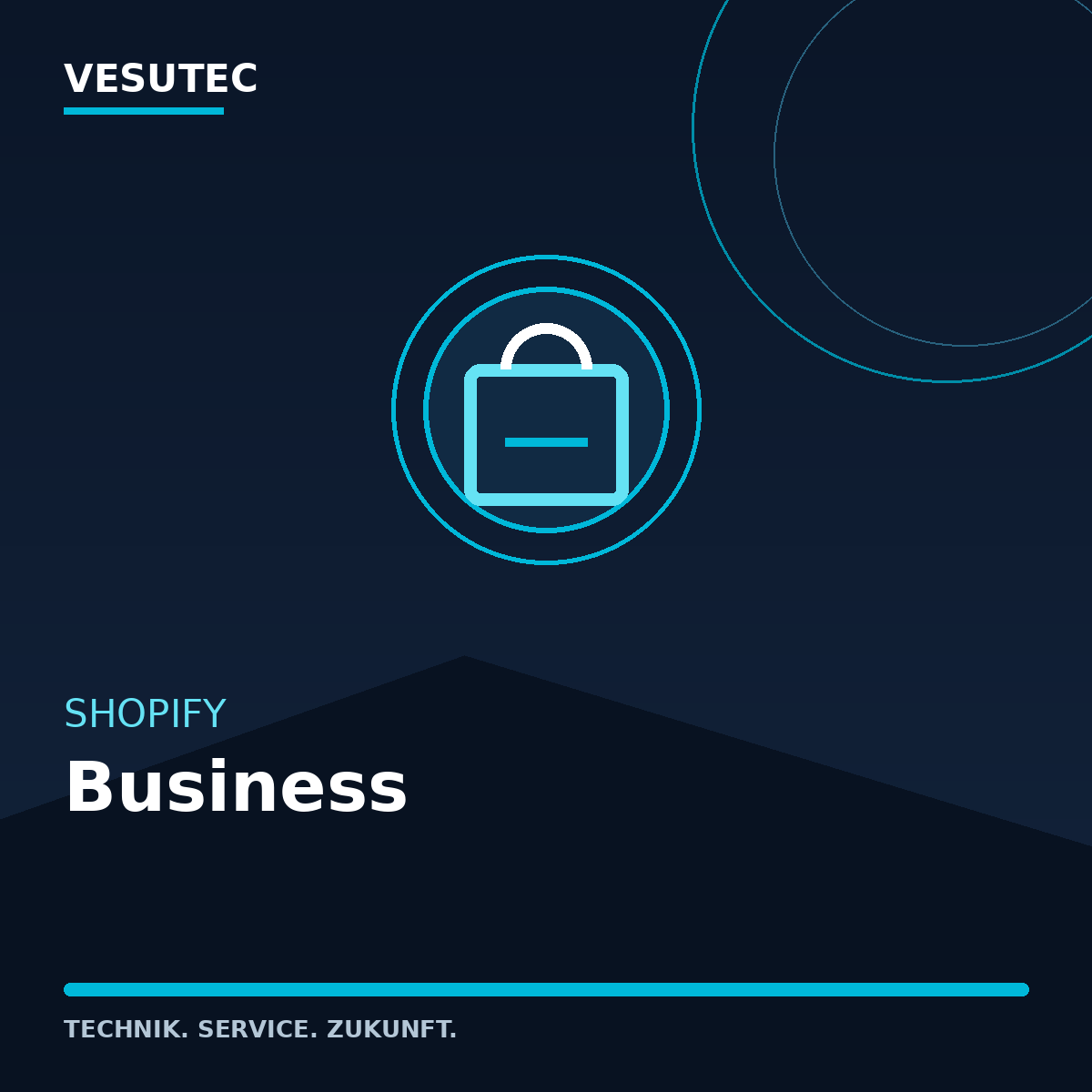 Shopify Business – VESUTEC Dienstleistung
