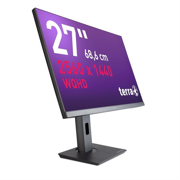TERRA LCD LED 2772W PV 27 Zoll WQHD IPS Business Monitor mit USB-C HDMI und DisplayPort