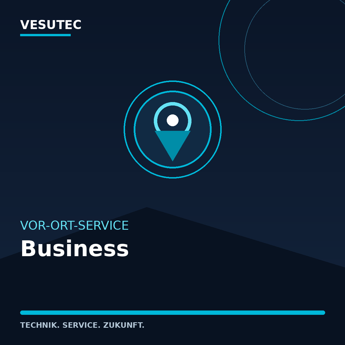 Vor-Ort Service Business