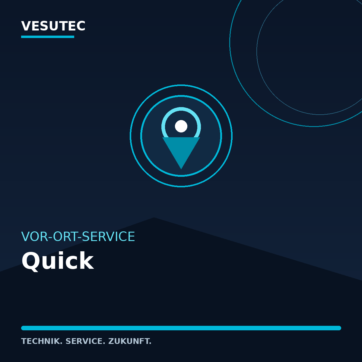 Vor-Ort Service Quick – VESUTEC Dienstleistung
