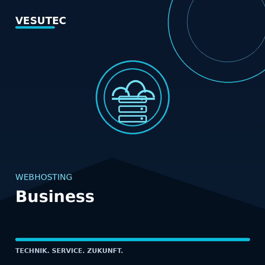 Webhosting Business von VESUTEC mit 25 GB SSD, mehreren Websites und Monitoring